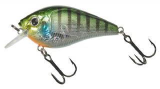 Gunki Kraken 55 F - 